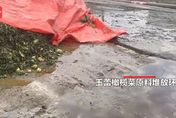 影/葉菜發黑混汙水飄「腐臭」味　陸知名醃菜廠生產環境曝光噁爆