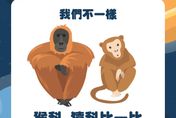【毛球冷知識】我們不一樣！人類的近親你不能不知道「猩猩＋狒狒＋猴子＋猿」一次搞懂