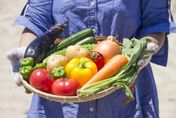 網傳「水果不能跟油脂一起吃」 學者：無法接受！營養關鍵在飲食平衡和多樣性