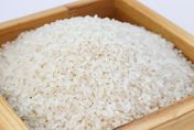 「這種米」放冷後「抗性澱粉」暴增　醫教授減肥選對米