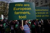 撕破臉！中東歐農民不爽「烏克蘭壓低糧價」害血本無歸…《黑海穀物倡議》恐破產