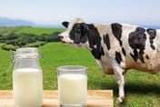 1張圖看懂4種無糖奶的營養　當心「這款奶」有澱粉　別被騙了！