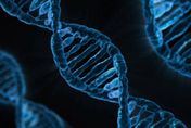人類DNA藏「數百萬年前病毒」！研究意外發現竟能幫助「抗癌」
