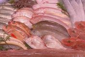 不同需求吃不同魚！營養師揭魚類營養含量　「秋刀魚 」魚油含量高居第一