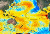 鄭明典：聖嬰現象發展　颱風生成會距離台灣更遠