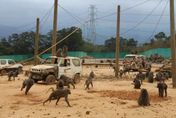 東非狒狒枉死已過一個月　農委會10日前往六福村複查改善計畫