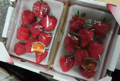 日本草莓殘留農藥超標！180公斤全銷毀　這產品加工業染料也被退