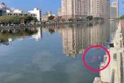 台南運河驚見女浮屍「現場無交通工具」　警清查身分中