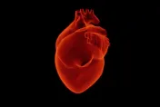 心臟不連續跳動的「突然撞擊感」是病？　醫：「心律不整」嚴重恐衰竭