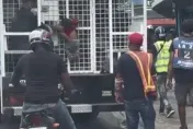 影/多明尼加幼童被「吊掛」非法移民卡車　震驚一幕引爆全民怒火