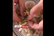 影/加「菜」？冷凍水餃驚現「綠色菜瓜布」　網友嘲：鑒定磚家會說這是韭菜