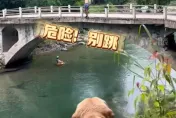 影/好暖！見男子準備從橋上躍下　忠心狗狗猛吠阻止…下秒飛奔跳水救人