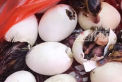影/父親替女兒到市集買「鴨仔蛋」　回家後卻已孵化成「33隻鴨」