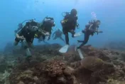 影/屏東潛海戰將出發！潛水「清除37公斤垃圾」　海龜優游畫面曝光
