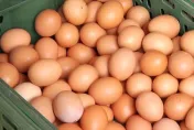 雞蛋「產量回穩」價格仍高　蛋商公會曝「這原因」：回不去了