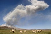 影/秘魯火山噴出「1700公尺高」火山灰　當局宣布將進入緊急狀態