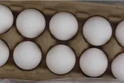 土耳其雞蛋12萬公斤全數銷毀　還會進口？食藥署：回覆最新近況