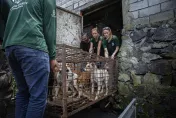 動保團體倡議成功將毛孩撤下菜單　印尼「托莫洪極限市場」停賣貓狗肉