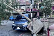 快訊/板橋路樹遭強風吹倒　水泥基座傾倒壓貨車幸無人傷