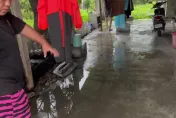 杜蘇芮災情/花蓮玉里施工中水溝遭豪雨灌滿！大水從缺口淹入民宅