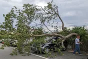 影/卡努強風狂掃宜蘭地區　多處路樹倒壓車無人傷警協助排除