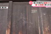 影/又有古蹟遭殃！奈良東大寺木門被破壞　惡劣遊客手癢畫貓咪
