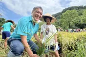汐止區農會傳承農村記憶　邀「小小農夫」體驗割稻