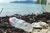 最新研究！海洋塑膠垃圾總量低於估計值　汙染物可能長時間存續