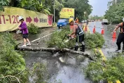 快訊/雙北大雷雨開炸！新店路樹倒塌阻路　現場交管中