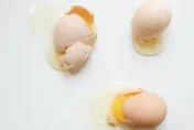 雞蛋容易受汙染！專家授「1妙招」讓你聰明挑選新鮮雞蛋