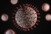 COVID-19啟示　學者：7、8年內恐再現冠狀病毒威脅
