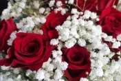 愛在七夕/玫瑰買氣漲3成　送花給另一半注意12星座「花色、數量」更浪漫