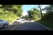 影/真實版「山道猴子的一生」！逆向重機衝出　3車撞成一團