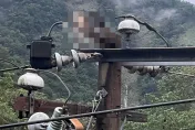 南庄獼猴高壓電桿撒野遭電死「全身焦黑」！害鹿場171戶突斷電