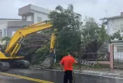海葵颱風/台東成功直擊強風將路樹攔腰折　民眾：電線桿都會晃