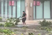 海葵颱風/台東熱心駕駛不畏強風豪雨　冒險移走斷裂路樹