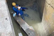 快訊/大安森林公園旁工安意外！鋼條未固定　工人踩過慘摔3米深坑