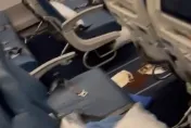 影/航班飛行途中遇乘客腹瀉「炸屎」　機艙瀰漫惡臭336人被迫返航