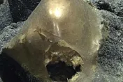 阿拉斯加深海發現「金蛋」　科學家不知為何物