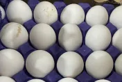 台農蛋品認了！巴西雞蛋「誤標效期」　全面回收下架
