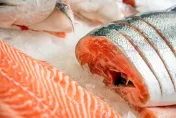 冷凍魚比較不新鮮？ 專家親授「挑新鮮好魚5大原則」環境也超重要