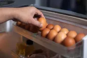 下周蛋價不調整！　蛋商估10月中旬恐提前「蛋荒」
