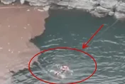 影/為撿手機丟命！女子翻護欄墜40公尺瀑布溺斃　目擊者：她不聽勸硬要去