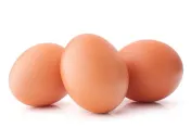 如何判斷雞蛋新鮮度？　專家挑好蛋「看5點」：感覺有液體代表NG