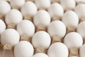 中秋月餅用蛋量驚人　 新竹市衛生局稽查「15件烘焙用液蛋」均為合格！
