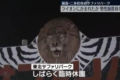 影/日動物園傳意外！飼育員疑遭獅子攻擊　倒臥籠區內身亡
