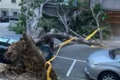 小犬颱風/台中清晨突強風　鐵皮屋遭倒塌路樹壓壞　汽機車也遭殃