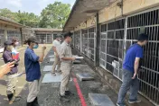 「狒狒脫逃」調查報告出爐　竹縣府將監督六福村完成植晶片、設施改善