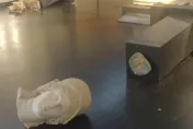 美國觀光客在以色列博物館大暴走　摔壞二世紀羅馬雕像遭逮捕