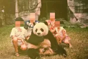 30年前「人與貓熊合照」曝光！不給蘋果就不配合…網友暴動超羨慕